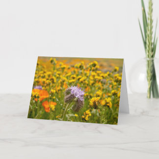 Wildblumen im Blut Karte