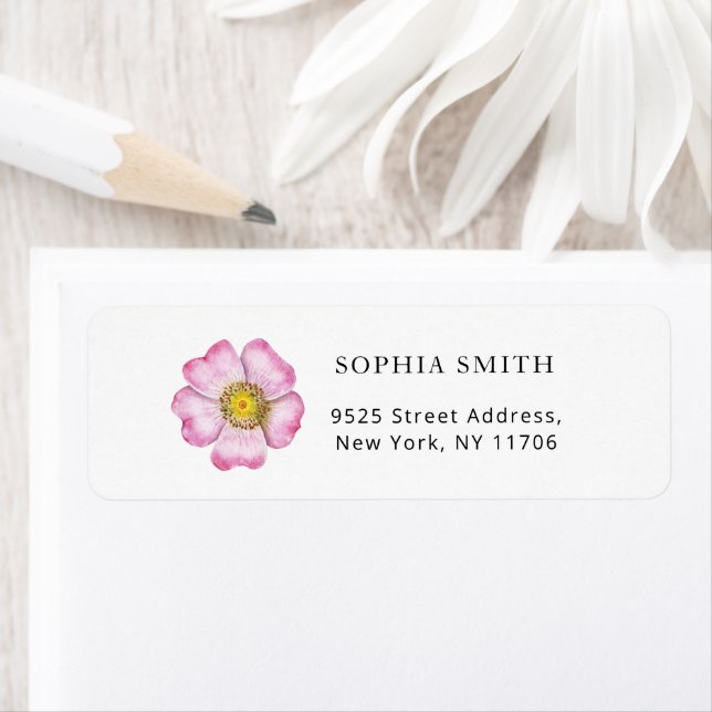 Wildblumen in Blütendusche (Insitu)