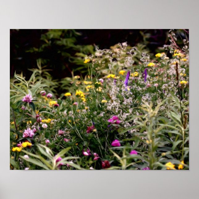 Wildblumen in Foto-Ölgemälden Poster (Vorne)