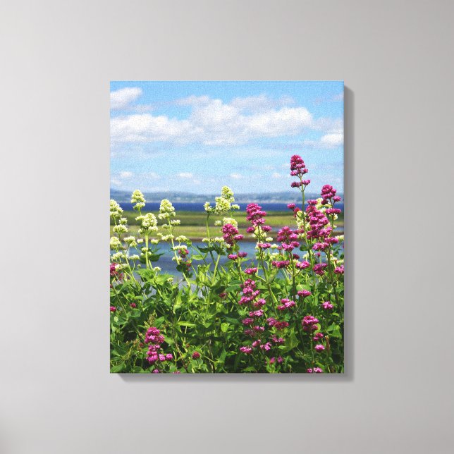 Wildblumen in Irland Leinwanddruck (Vorderseite)