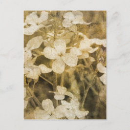 Wildblumen in Sepia Postkarte