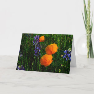 Wildblumen in Sonoma County Karte