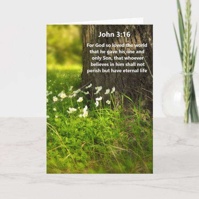 Wildblumen John 3:16 Bible Verse Grußkarte Karte (Vorderseite)