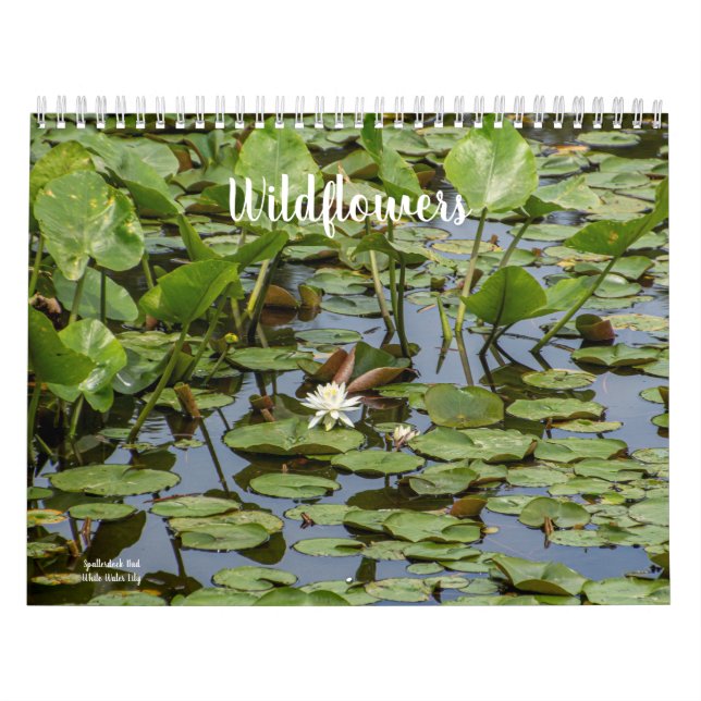 Wildblumen Kalender (Titelbild)