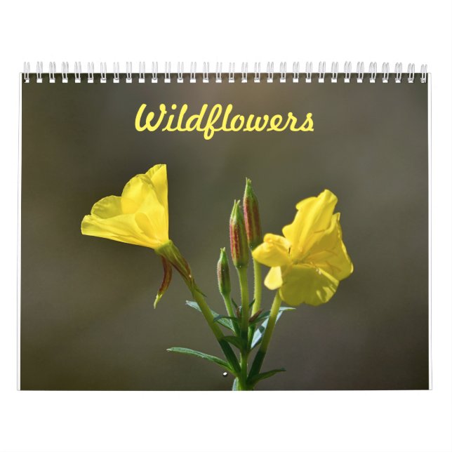 Wildblumen Kalender (Titelbild)