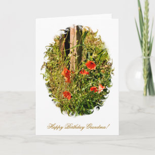 WILDBLUMEN KARTE