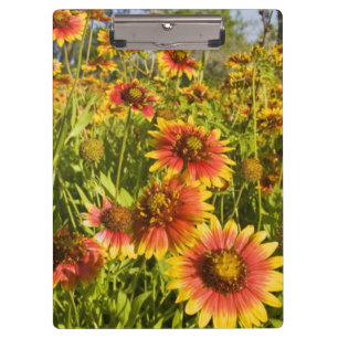 Wildblumen Klemmbrett