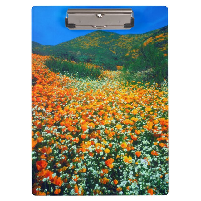 Wildblumen Klemmbrett (Vorderseite)