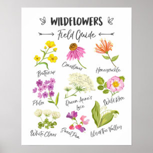Wildblumen Kunst Wilde Blume Plakatwand Kinderzimm Poster