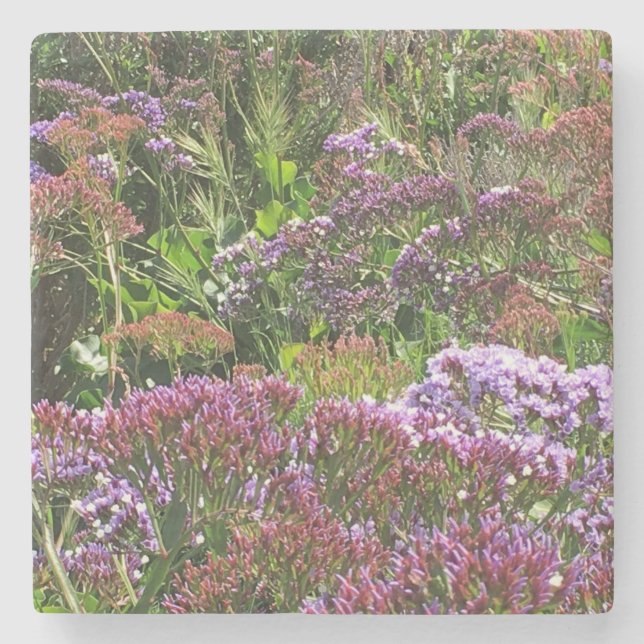 Wildblumen, La Jolla Cove, CA Steinuntersetzer (Vorderseite)