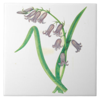 Wildblumen-Land-Küchen-Keramik-Fliesen-Hyazinthe Fliese