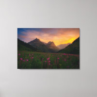Wildblumen