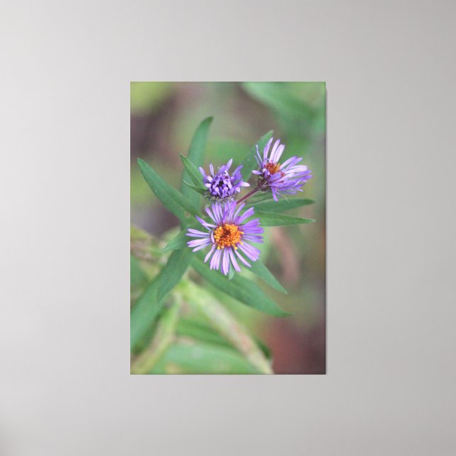 Wildblumen Lila Leinwanddruck (Vorderseite)