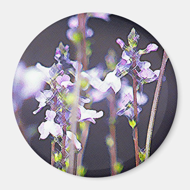 Wildblumen Magnet (Vorne)