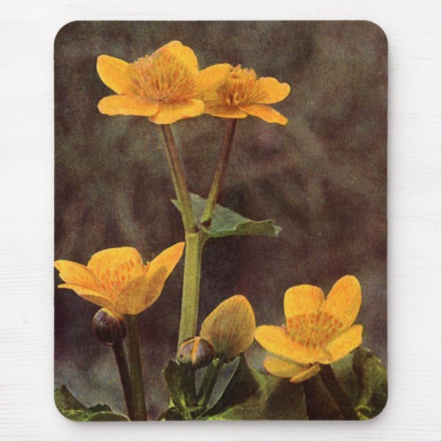 Wildblumen: Marsh Marigold Mousepad (Vorne)