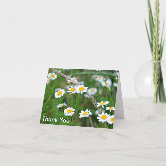 Wildblumen mit Gänseblümchen, danke (Vorderseite)