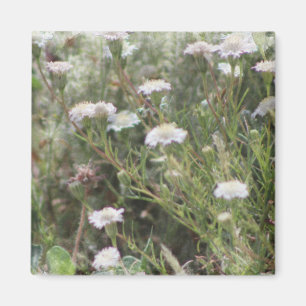 Wildblumen mit weißem Pinsel Digitales Aquarellbil Magnet