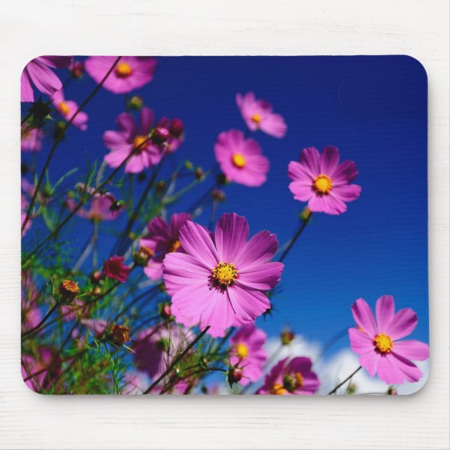Wildblumen Mousepad (Vorne)