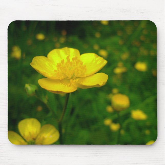 Wildblumen Mousepad Buttercup Computergeschenke (Vorne)