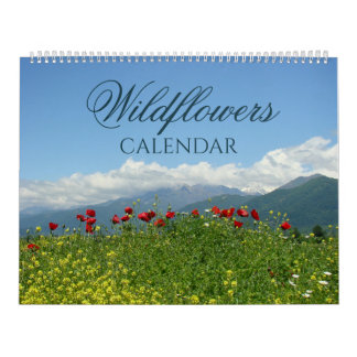 Wildblumen Natur farbenfroher Wandkalender 