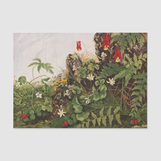 Wildblumen Nr. 1 von Ellen Robbins Seidenpapier (Vorderseite)