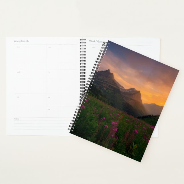 Wildblumen Planer (Anzeige)
