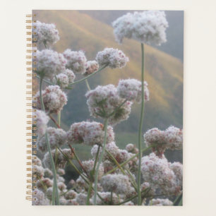 Wildblumen Planer