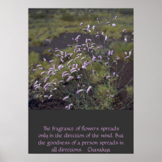 Wildblumen Poster