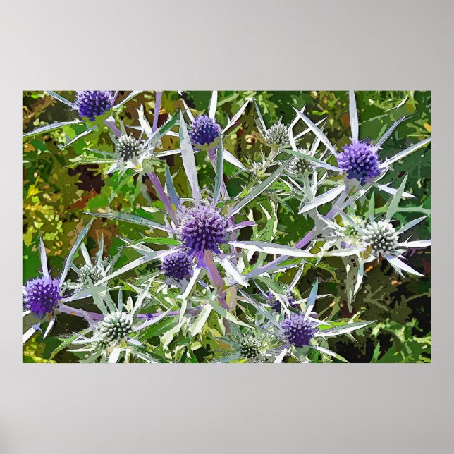 WILDBLUMEN POSTER (Vorne)