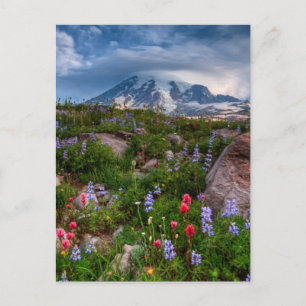 Wildblumen Postkarte