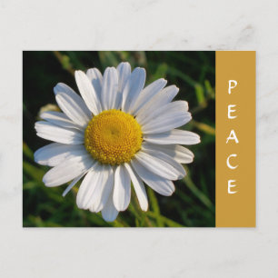 WILDBLUMEN POSTKARTE