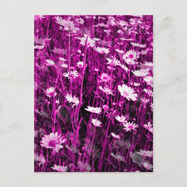 WILDBLUMEN POSTKARTE (Vorderseite)