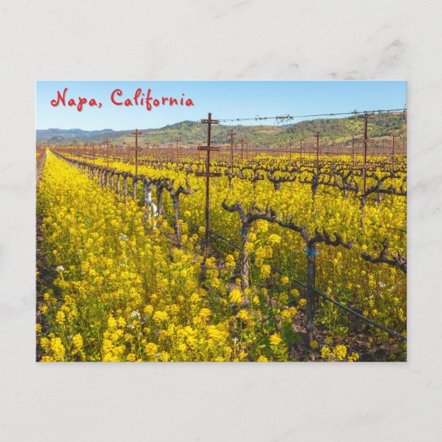 Wildblumen Postkarte (Vorderseite)