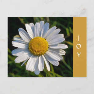 WILDBLUMEN POSTKARTE