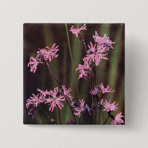 Wildblumen: Raged Robin Button