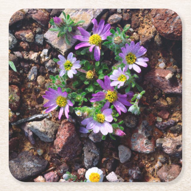 Wildblumen Rechteckiger Pappuntersetzer (Vorderseite)