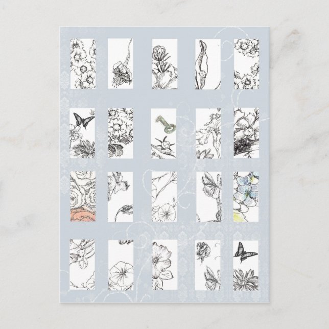 Wildblumen Schwarzer Farbton Pen Sketches Botanisc Postkarte (Vorderseite)