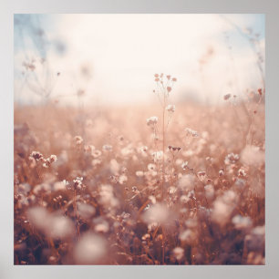 Wildblumen-Traumlandschaft Poster