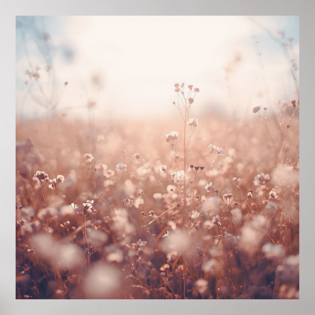 Wildblumen-Traumlandschaft Poster (Vorne)