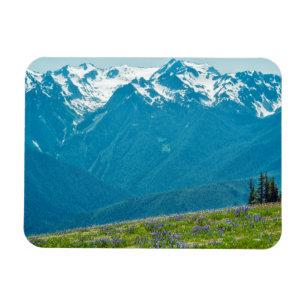 Wildblumen und Berge Magnet