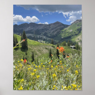 Wildblumen und Berge von Utah Poster
