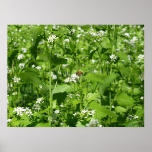 Wildblumen und eine Biene Poster