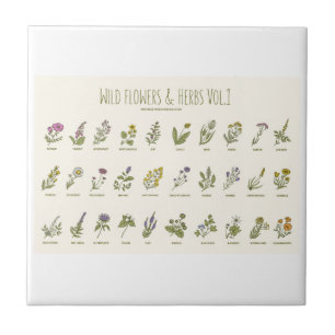 Wildblumen und Kräuter Fliese