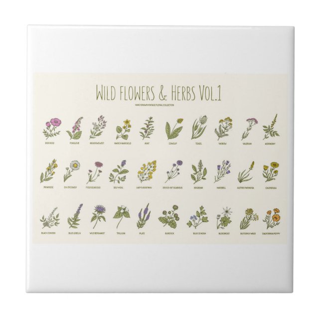 Wildblumen und Kräuter Fliese (Vorderseite)