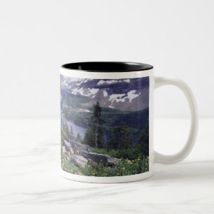 Wildblumen und Versteckter See, Shrubby Zweifarbige Tasse