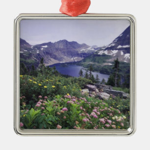 Wildblumen und versteckter See, Strauchartig Silbernes Ornament