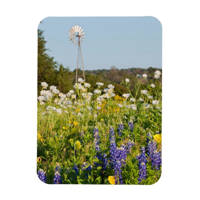 Wildblumen und Windmühle im Land Texas Hill Magnet (Vertikal)
