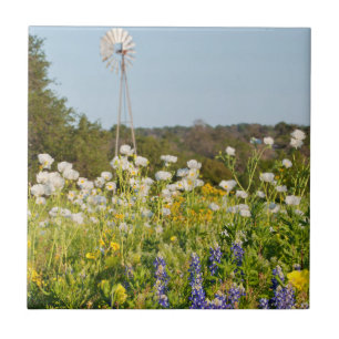 Wildblumen und Windmühle in Texas Hill Country Fliese