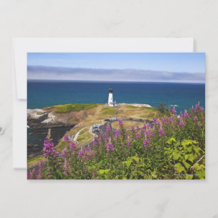 Wildblumen und Yaquina