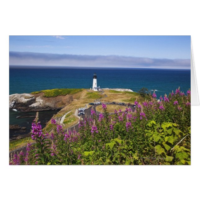 Wildblumen und Yaquina (Vorderseite (Horizontal))
